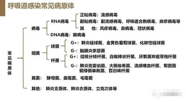 微信图片_20231128085058.png
